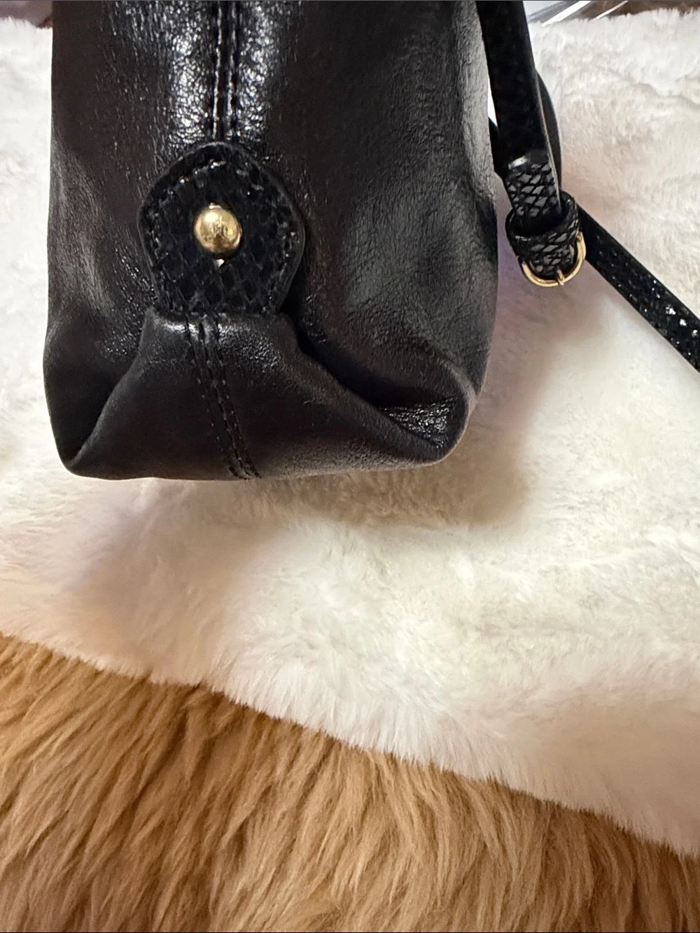 Coach Ashley Black Black Leather Crossbody Shoulder Bag Purse Zip Snakeskin